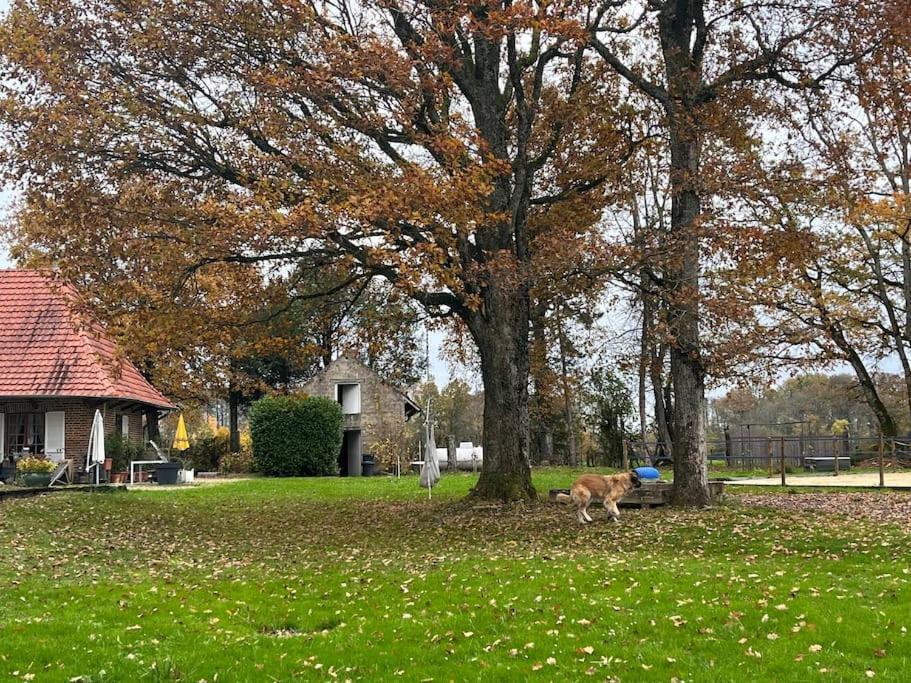 Appartamento Nature Et Calme La Chapelle-Saint-Sauveur  Esterno foto