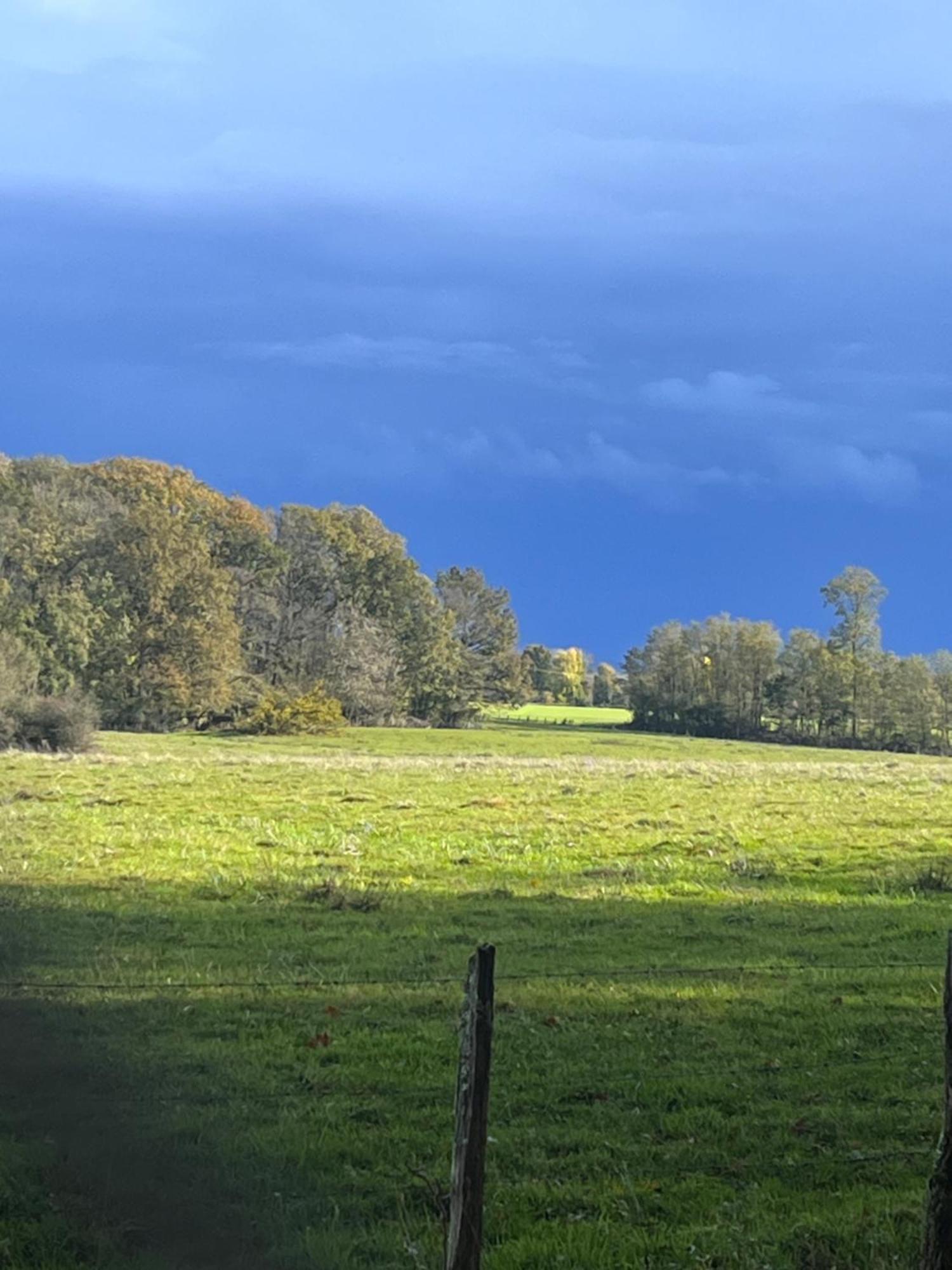 Appartamento Nature Et Calme La Chapelle-Saint-Sauveur  Esterno foto