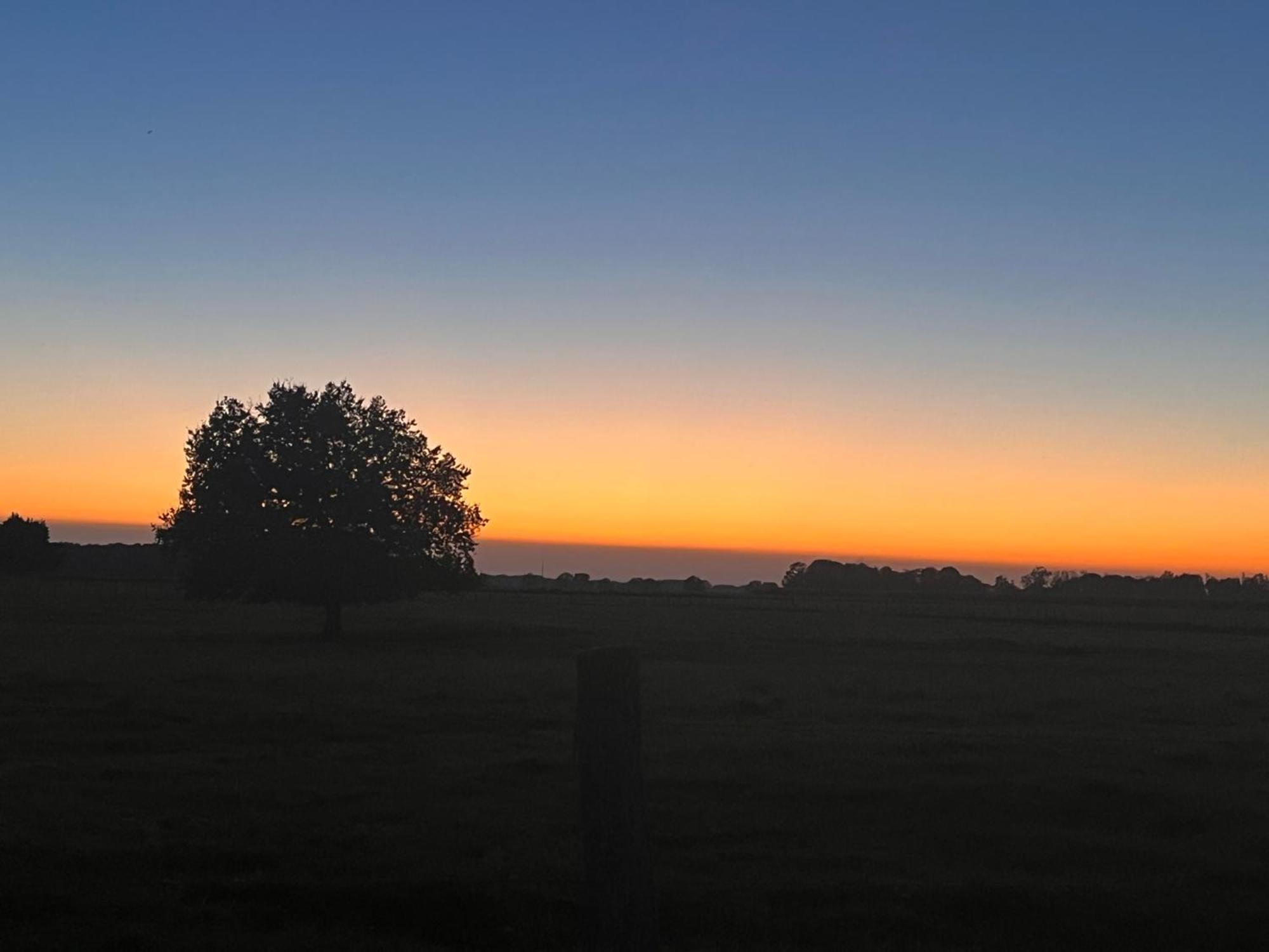 Appartamento Nature Et Calme La Chapelle-Saint-Sauveur  Esterno foto